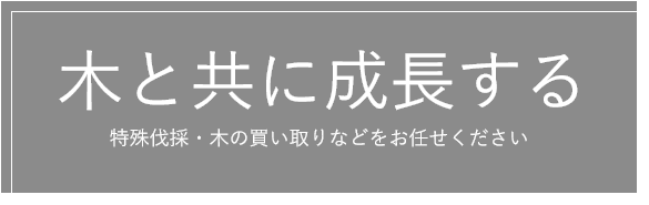 木と共に成長する